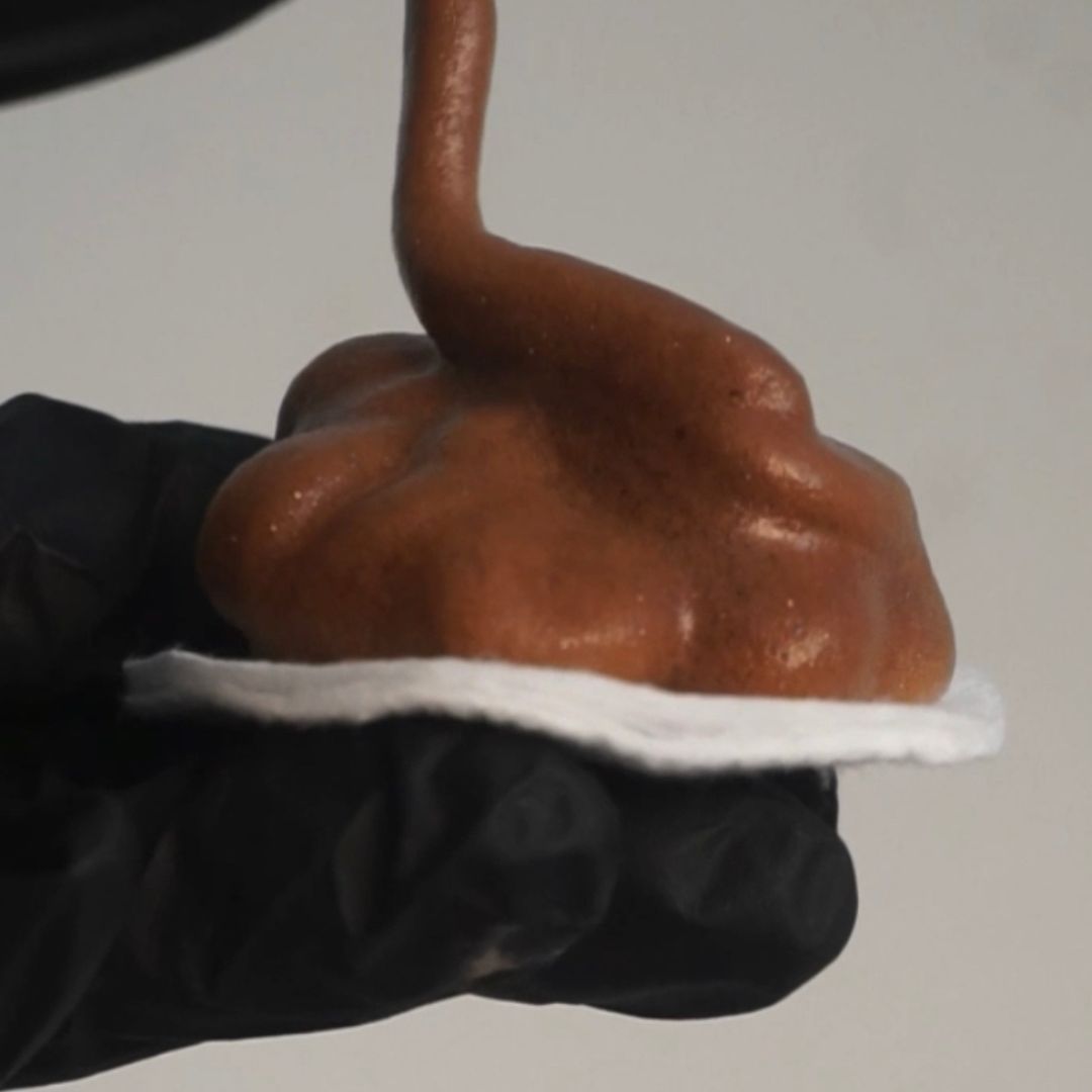 Locked Lace Tint Mousse Set